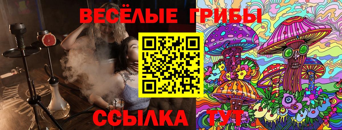 Галлюциногенные грибы Psilocybe Нарьян-Мар