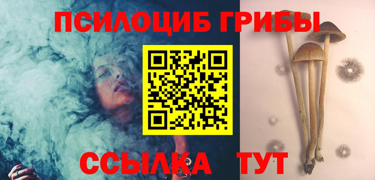 Нарьян-Мар  Псилоцибиновые грибы мицелий  Вход с VPN 